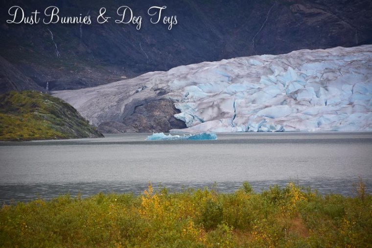 GlacierTrailBlueBerg
