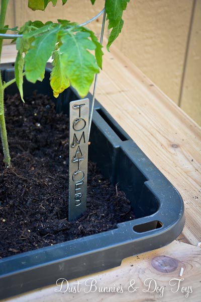 PlanterPlantedMarkerTomatoes