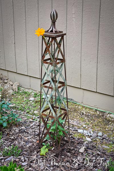 Trellis