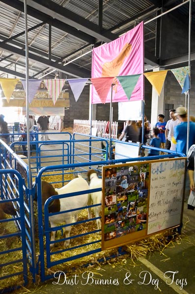 FairGoatStall